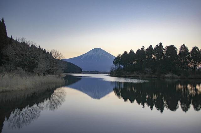 shizuoka